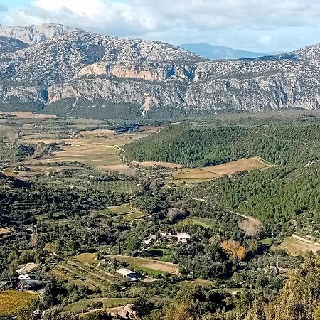 B&B Su Acu Dorgali Dış mekan fotoğraf