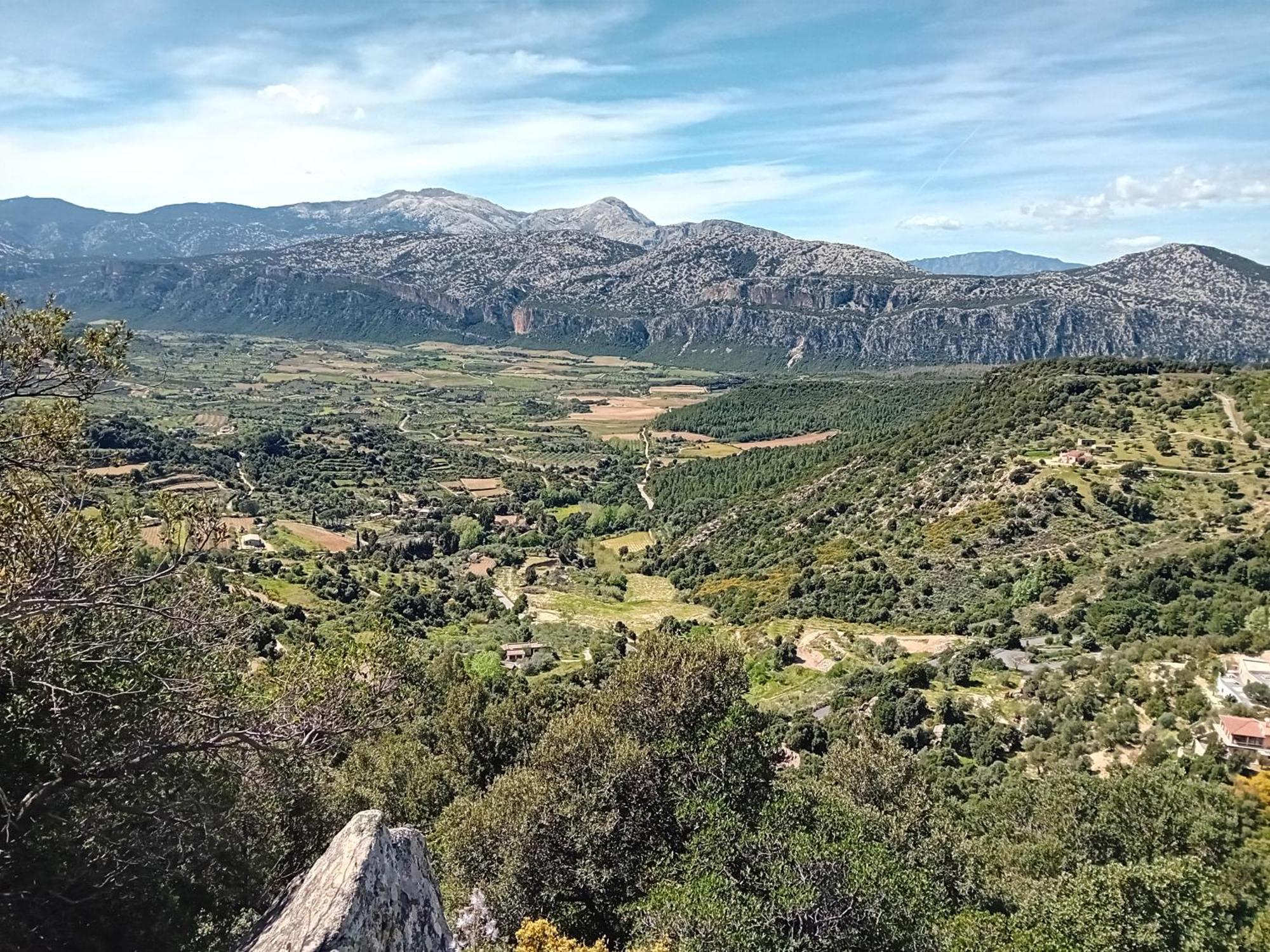 B&B Su Acu Dorgali Dış mekan fotoğraf