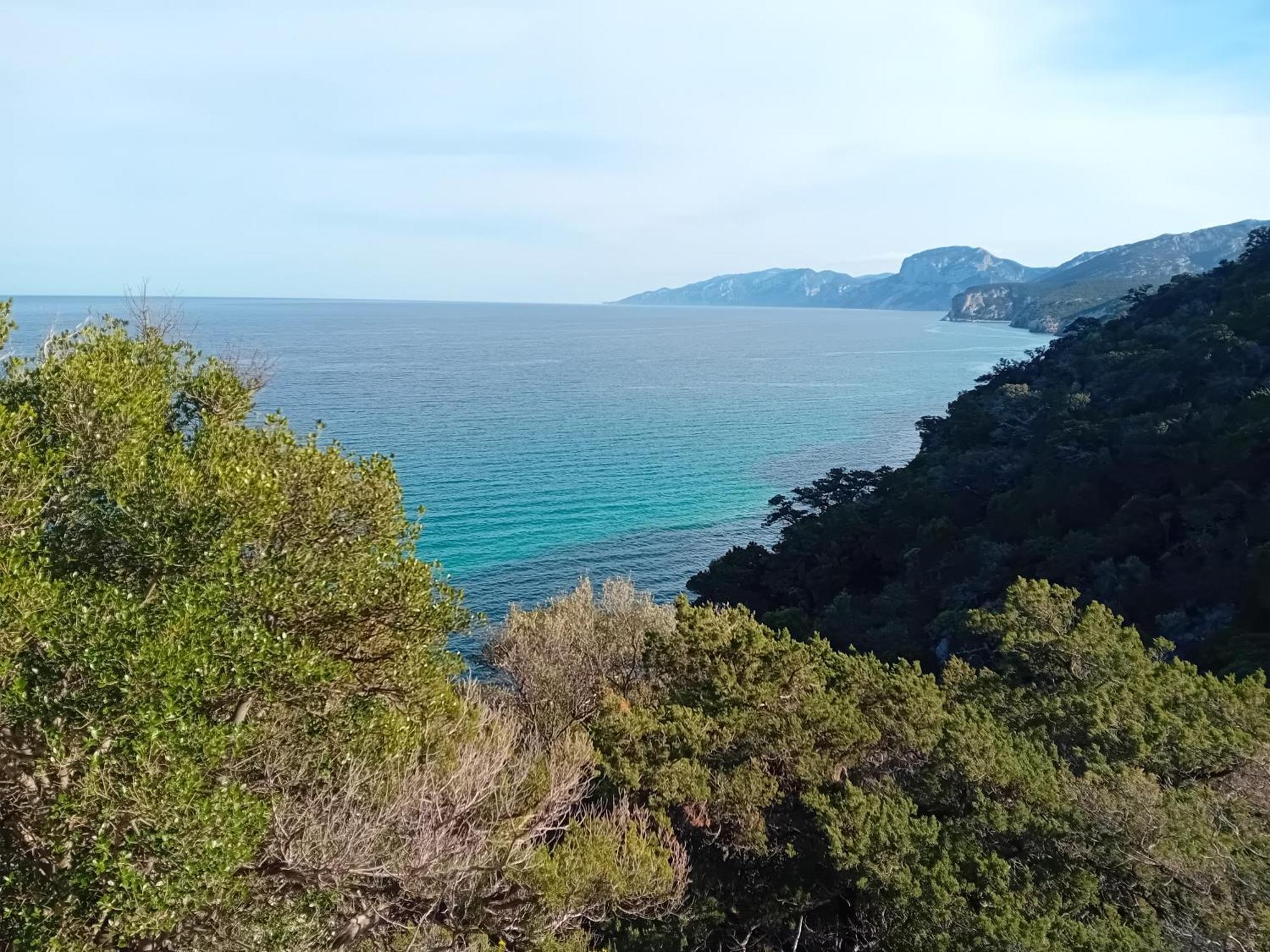 B&B Su Acu Dorgali Dış mekan fotoğraf