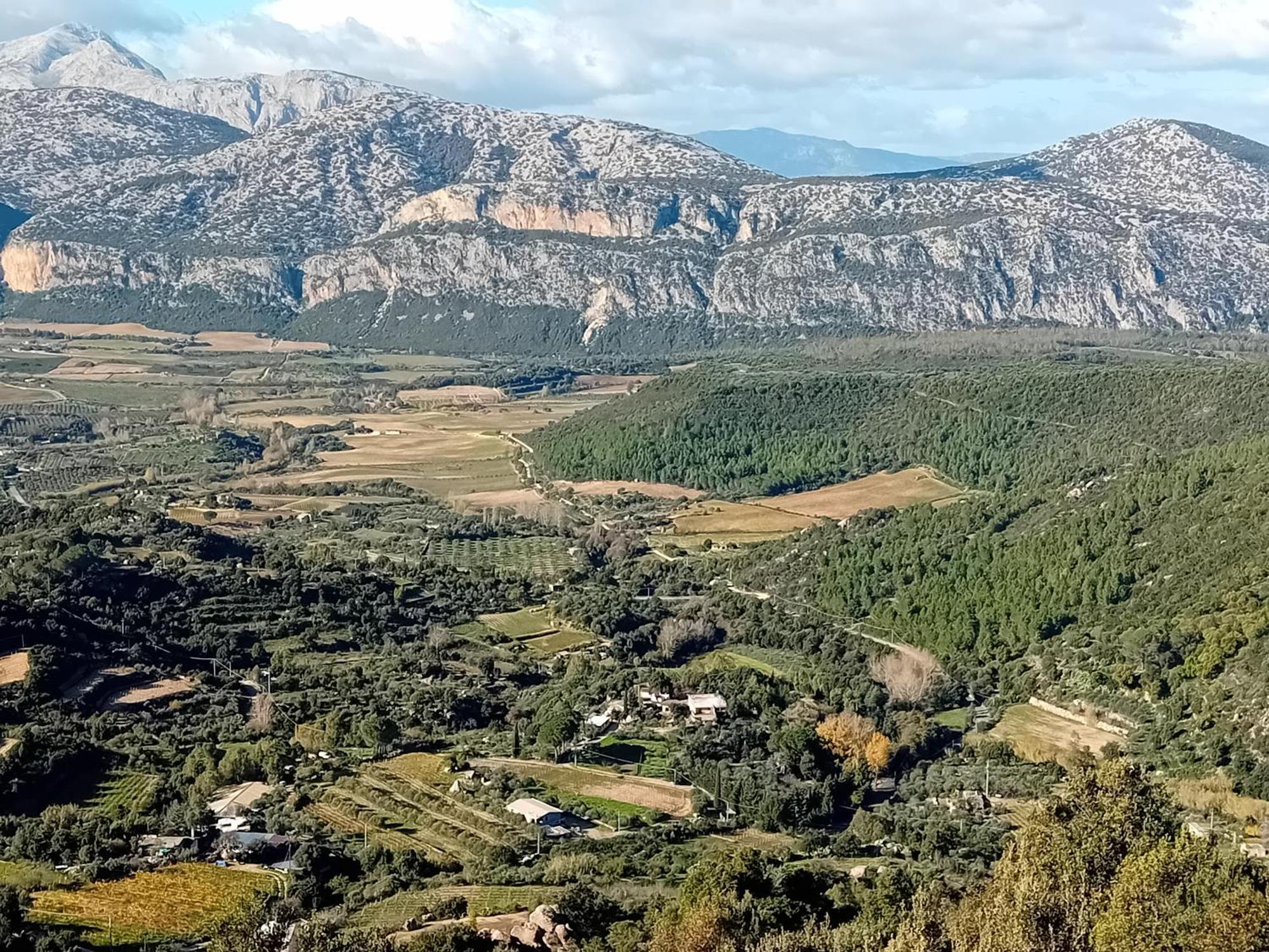 B&B Su Acu Dorgali Dış mekan fotoğraf